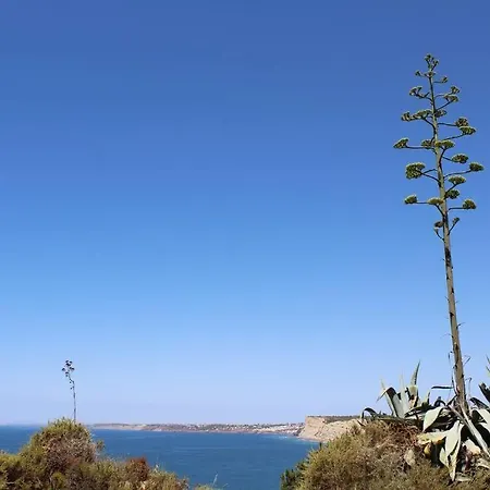 Studio, Large Terrace Lägenhet Lagos